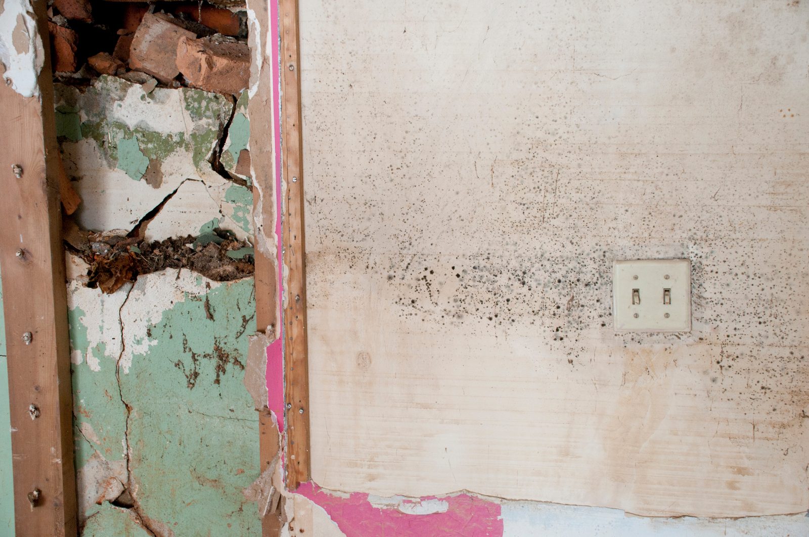 Wall opened to the framing beside a light switch, affected plaster removed